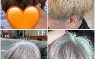 Greyblending Part 2 – Let it Grow Out – Is Gray/White the New Trend? Dream vs. Reality