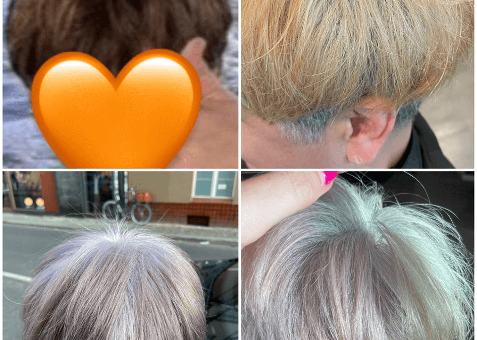 Greyblending Part 2 – Let it Grow Out – Is Gray/White the New Trend? Dream vs. Reality